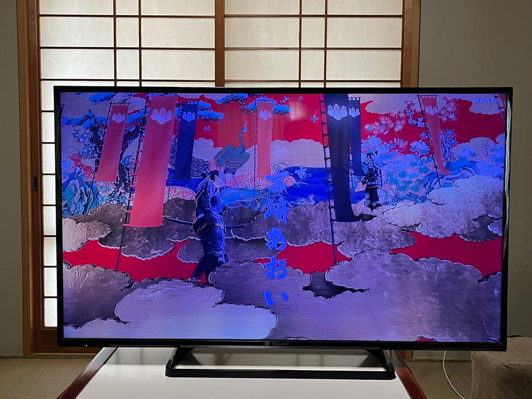 Panasonic TH-49E300 49インチ液晶テレビ【訳あり品】