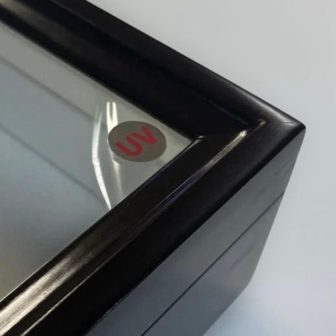 蝶標本箱　UV防止膜ドイツ箱