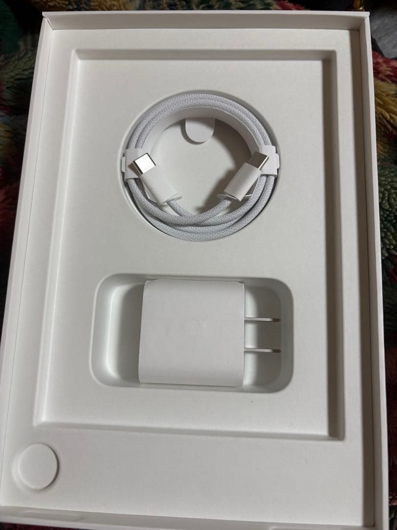 Apple iPad mini ブルー 128GB