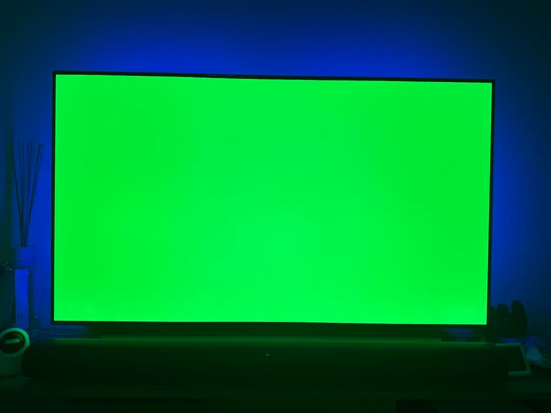 LG 有機ELテレビ OLED55C9PJA 55インチ 4K対応