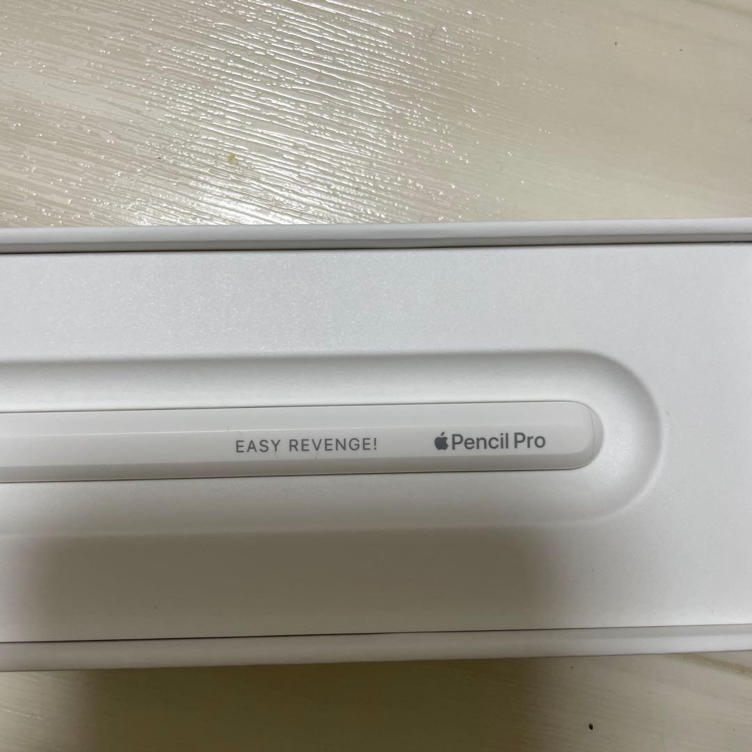 iPad pro 11インチ M4 【2024】 256GB Wi-Fi