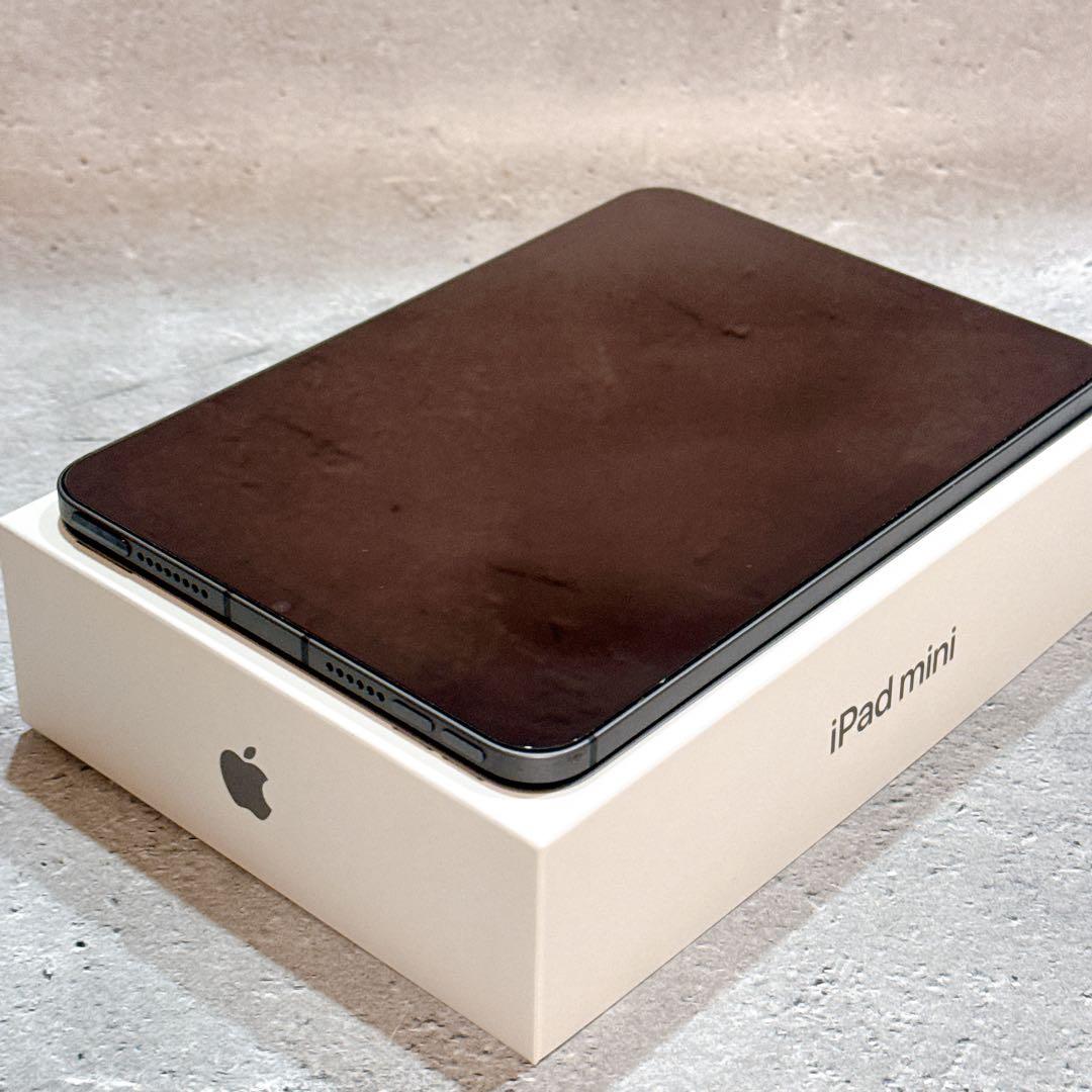 【美品】iPad mini 6 256GB Wi-Fi Cellular