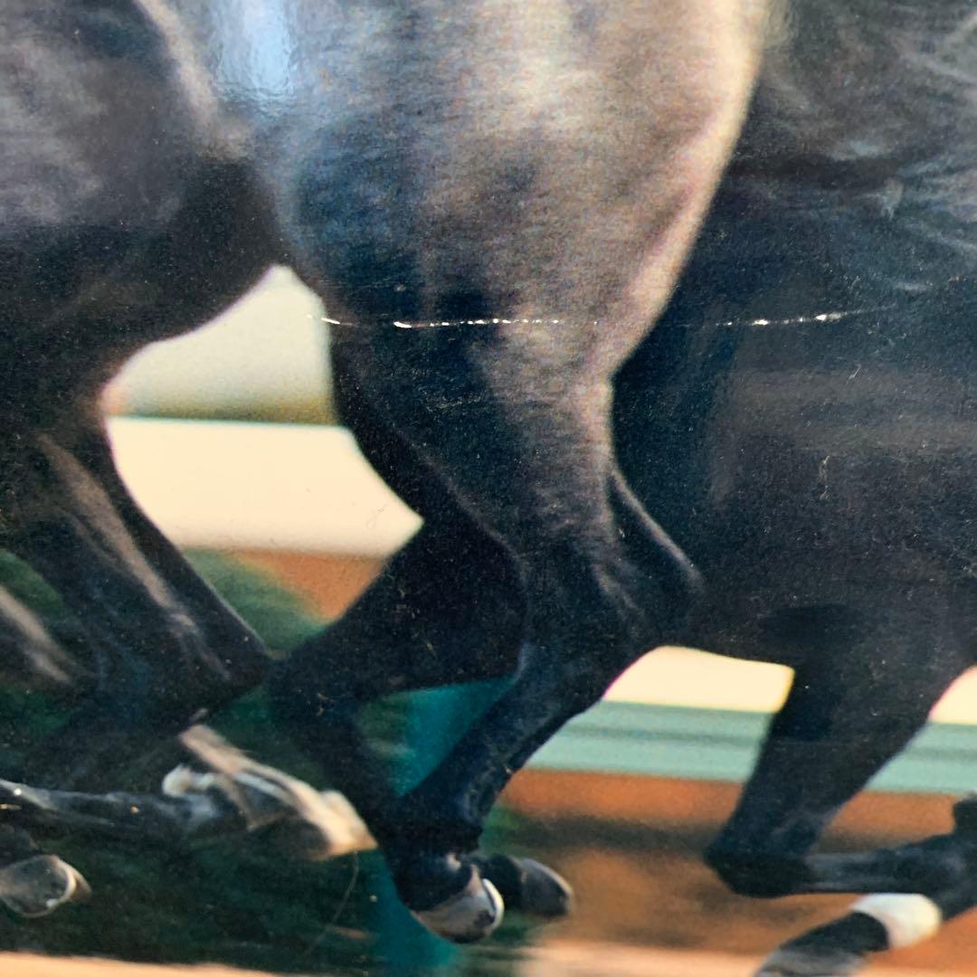 オグリキャップ　パネル　武豊　2枚セット　有馬記念　ジャパンカップ　競馬