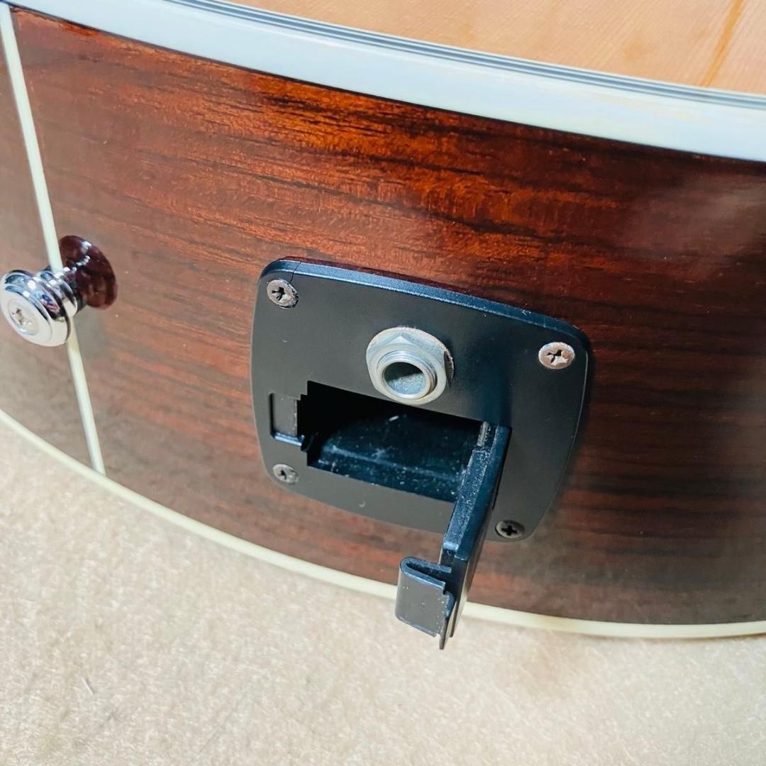 Paul Reed Smith SE Angelus Custom エレアコ