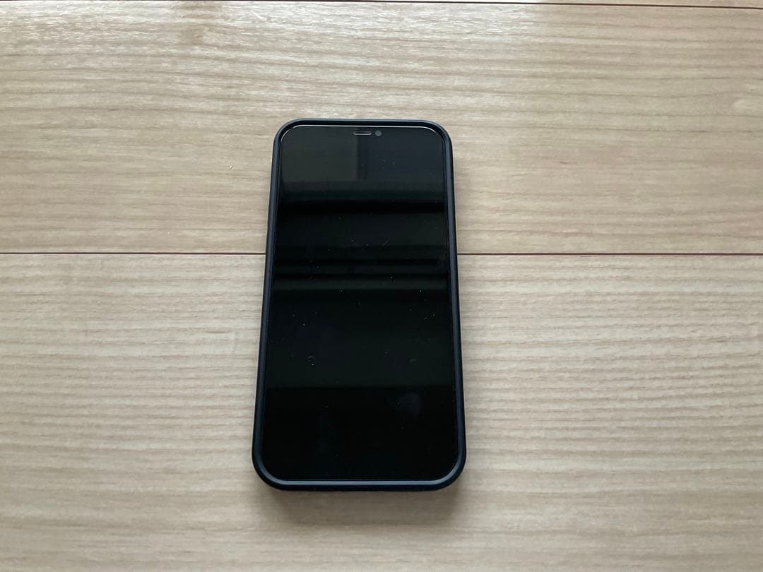 iPhone 12 Pro Max 128GB 2020年購入