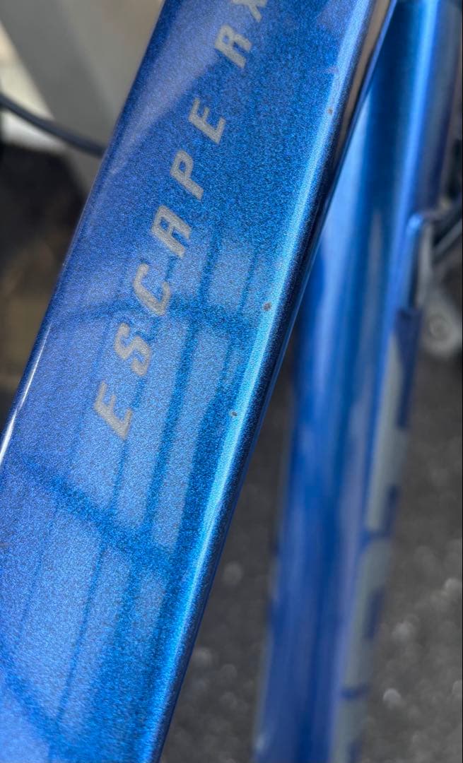 GIANT ESCAPE RX DISC　カメレオンネプチューン　S