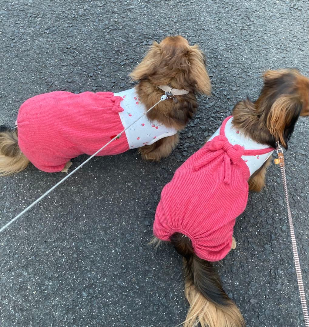 ダックスフンド服　オーダー受付ページ　ロンパース　つなぎ　犬服　苺　いちご