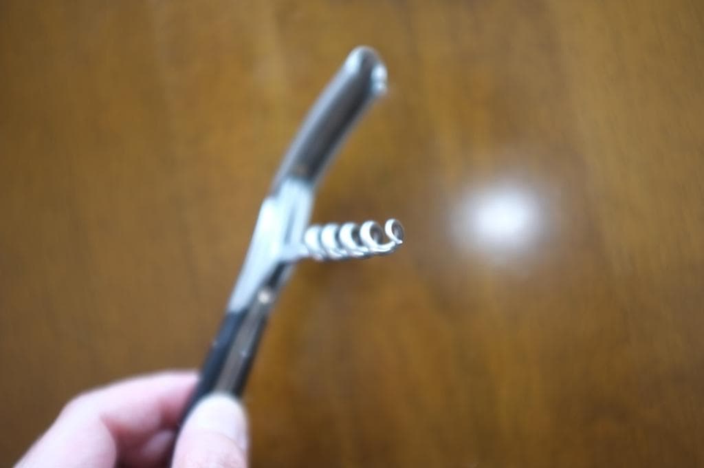 ラギオール・アン・オブラック バッファローホーン (角)