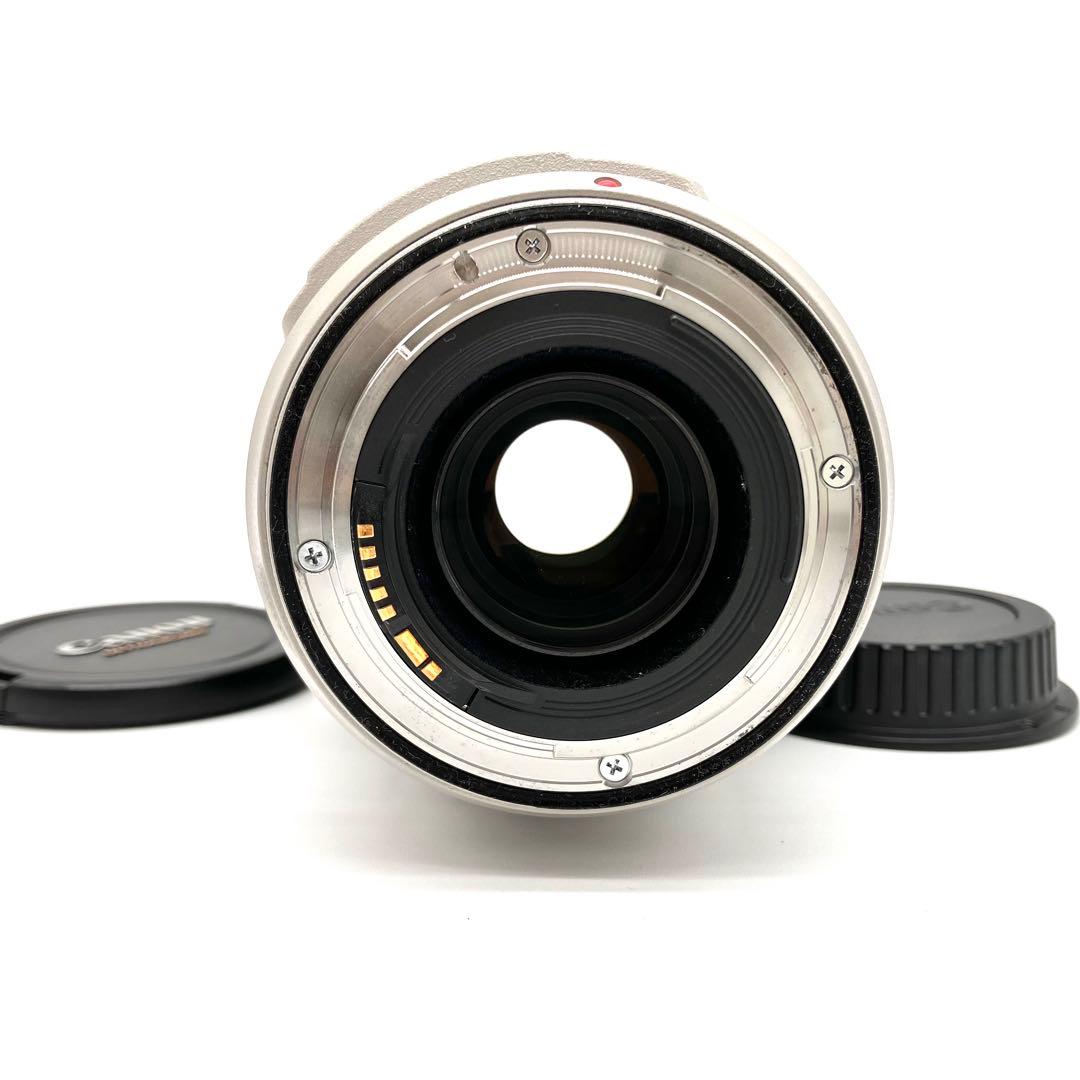 ❁動作良好❁Canon EF 70-300mm F4-5.6 L IS USM