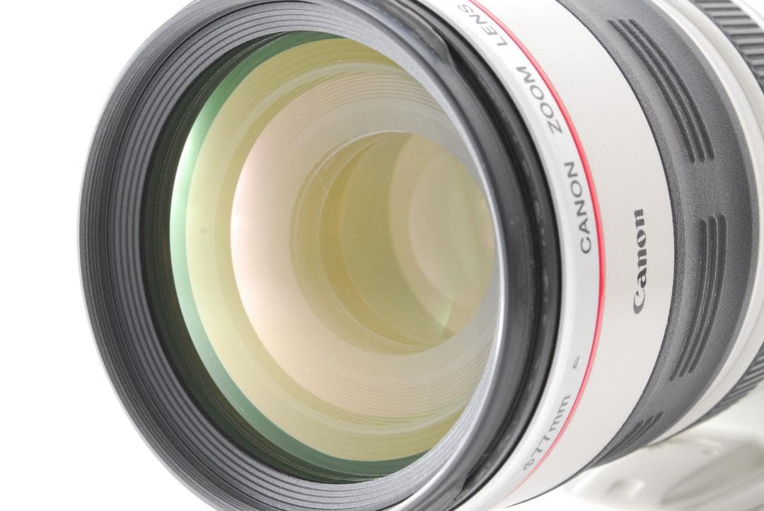 レンズ(ズーム) Canon EF 100-400mm 4.5-5.6 L IS USM #290