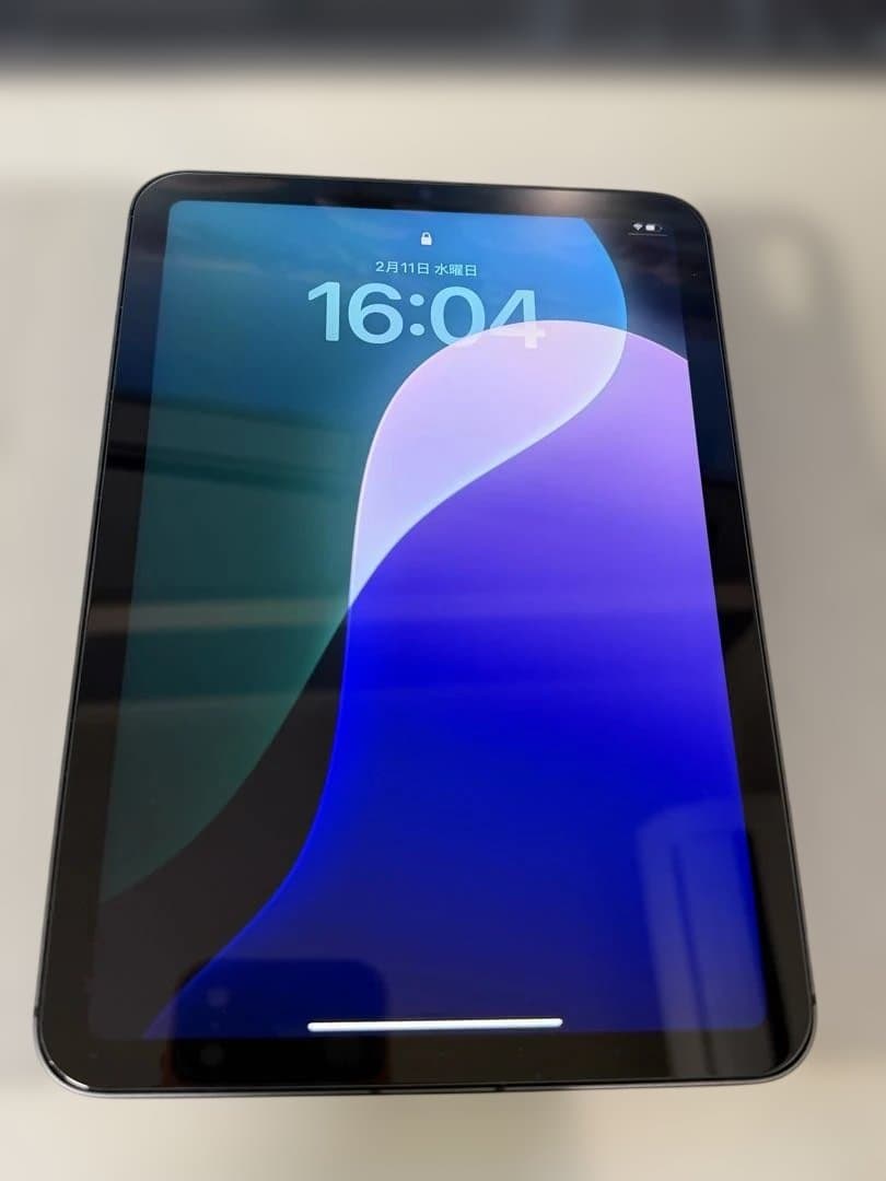 【SIMフリー】iPad mini 6 / 64GB セルラー スペースグレイ