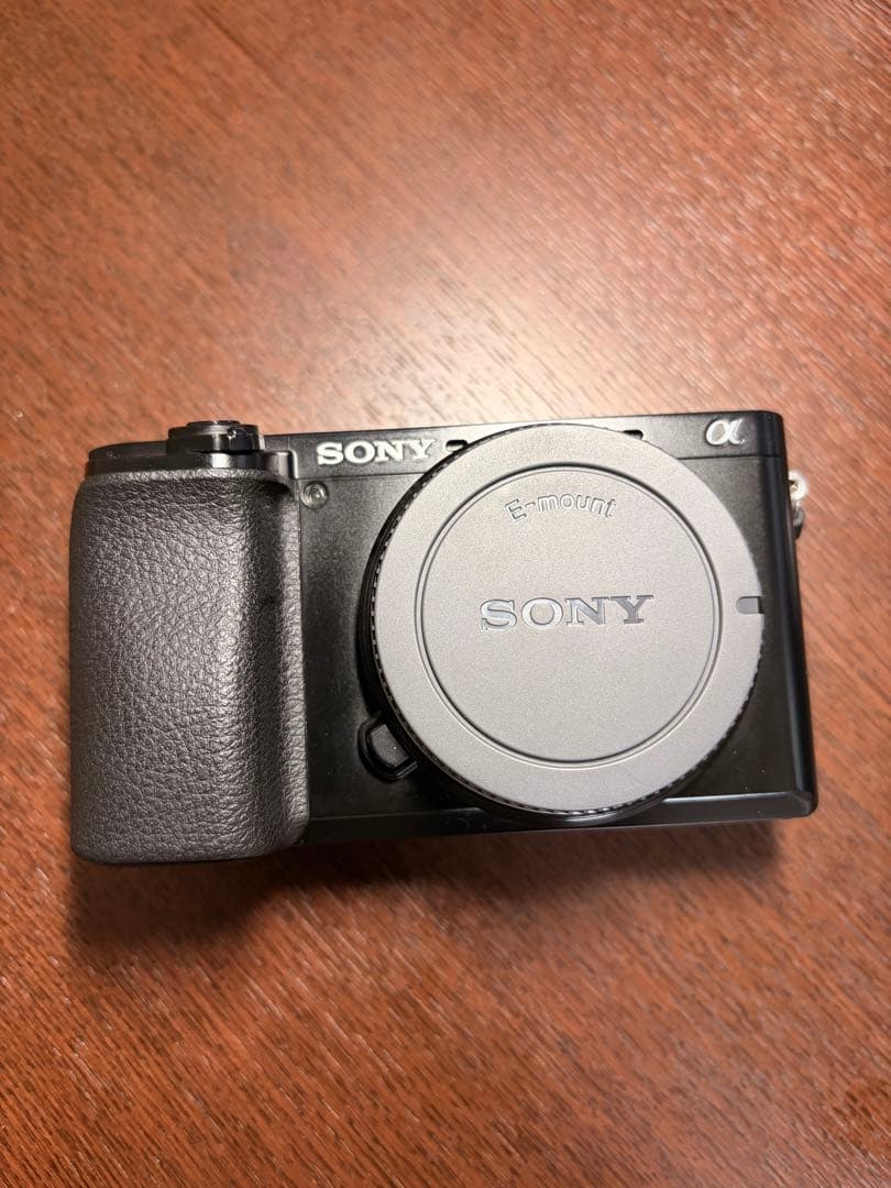 SONY α6100 ミラーレスカメラ 本体のみ (予備バッテリー付き)
