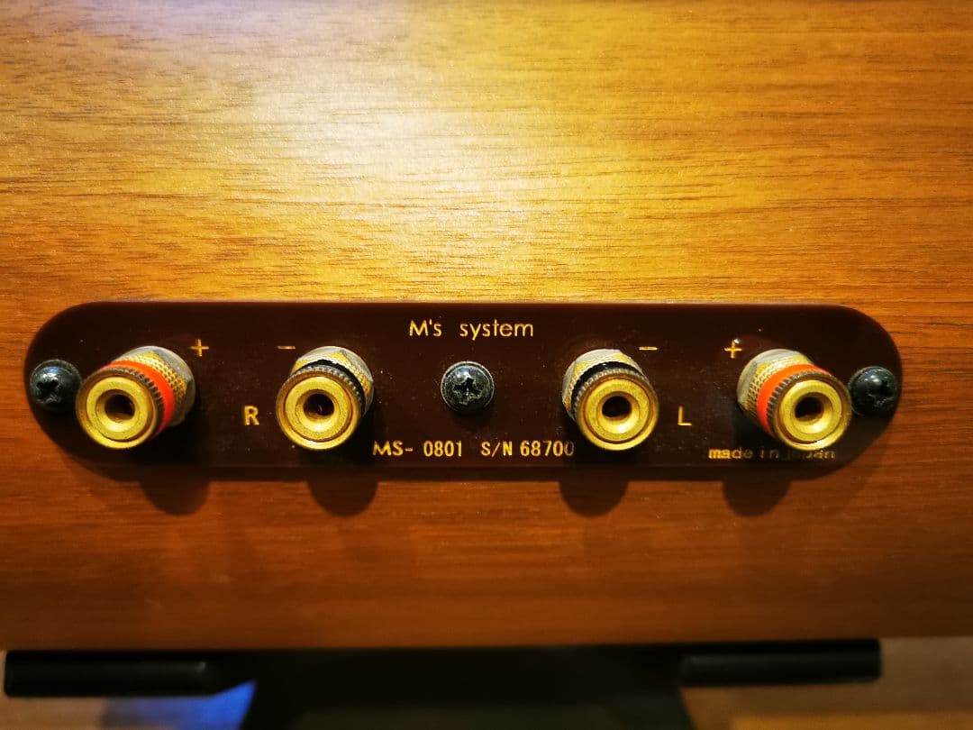 【値下げ済み】【定価108,000円】波動スピーカー_MS-0801