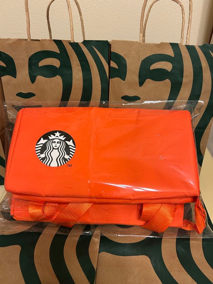 スタバ　BEAMS ステンレスTOGOボトル　保冷バッグセット