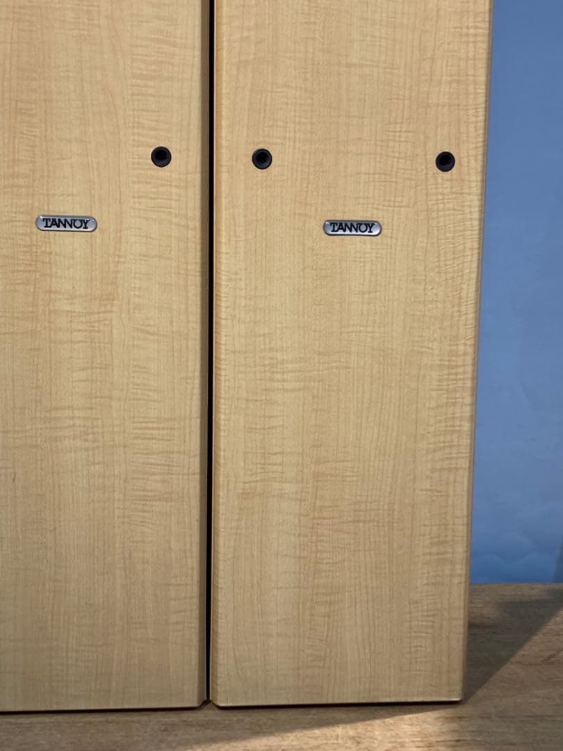 タンノイ TANNOY Mercury mx4 トールボーイ トール タワー ス