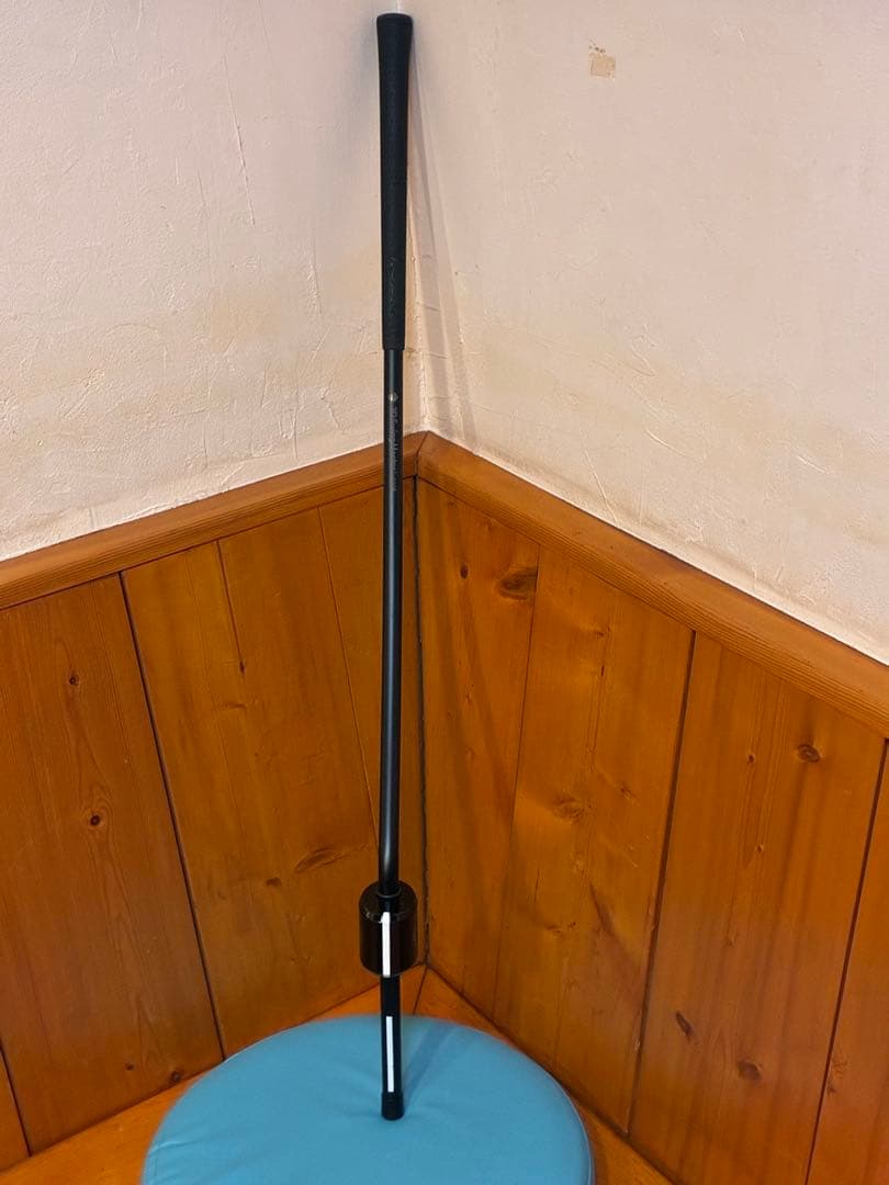 3D Swing Mentor TASK GOLF ゴルフ練習器具