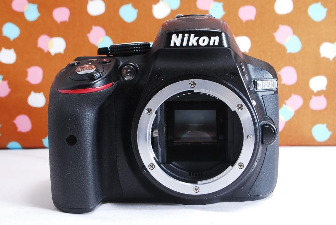 ✨美品✨Wi-Fi搭載機種✨Nikon D5300 ダブルレンズセット