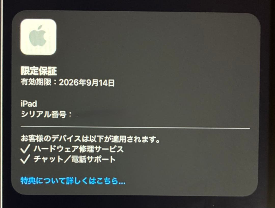 Apple iPad A16 (第11世代) ブルー 128gb wifi