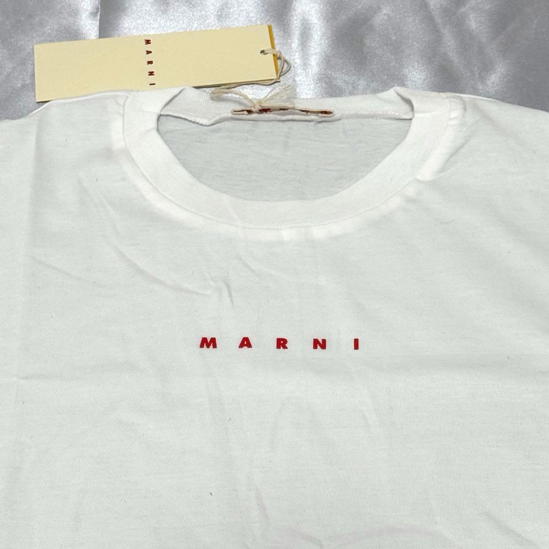 新品未使用MARNI キッズ 2025SS ロゴ Tシャツ 大人もOK！