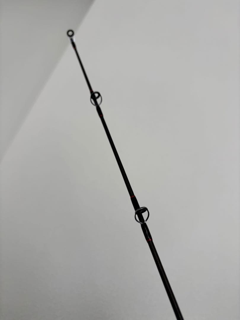 千葉県内引取り限定。エバーグリーン　レッドマイスター