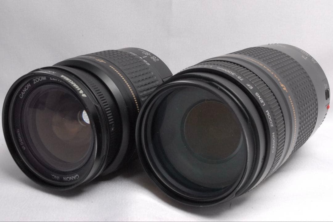 Canon EOS Kiss X5 ダブルレンズ カメラデビューバック付動作良好