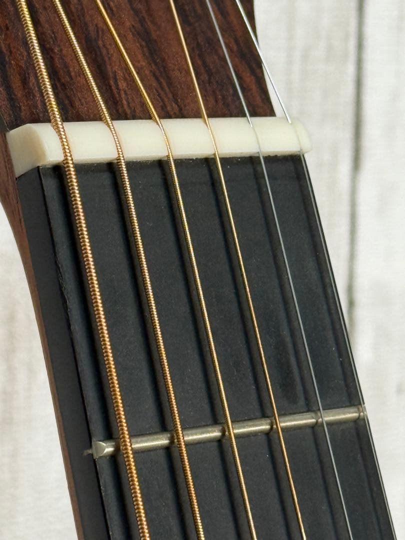 【ヒデマロ】エレアコ Martin D-10E