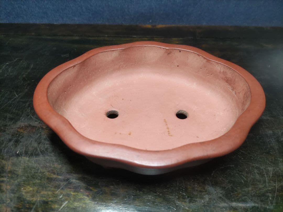 盆栽鉢　　中国宜興　希少品　　複数落款　　早い者勝ち