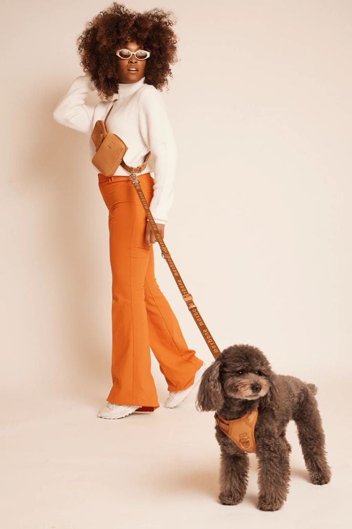 【新品】ハーネス/max-bone/キャメル/Mサイズ/ラグジュアリーブランド