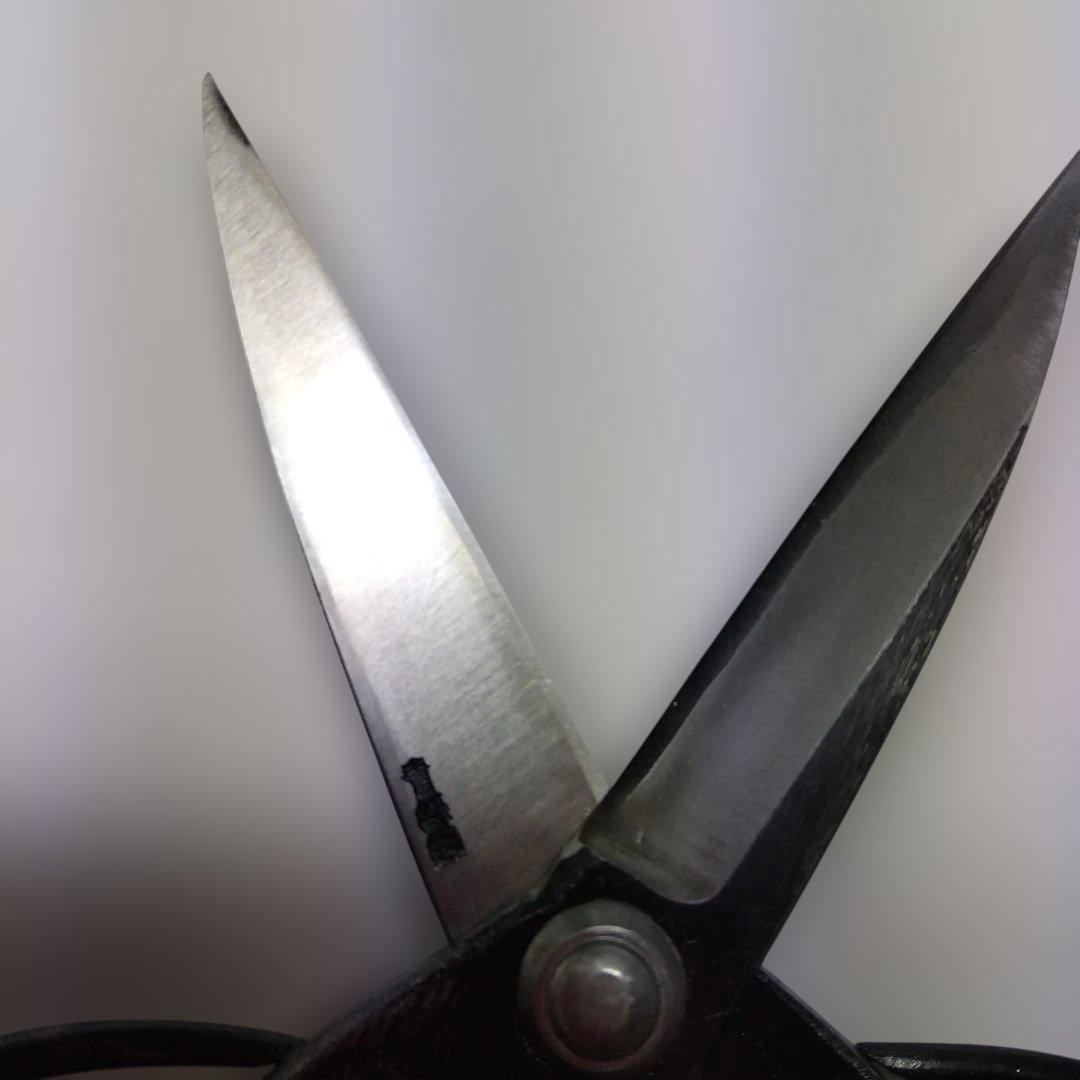 りゅうちゃん　植木鋏（左用）（青）（三寸五分） ステン刃長大久保　2点