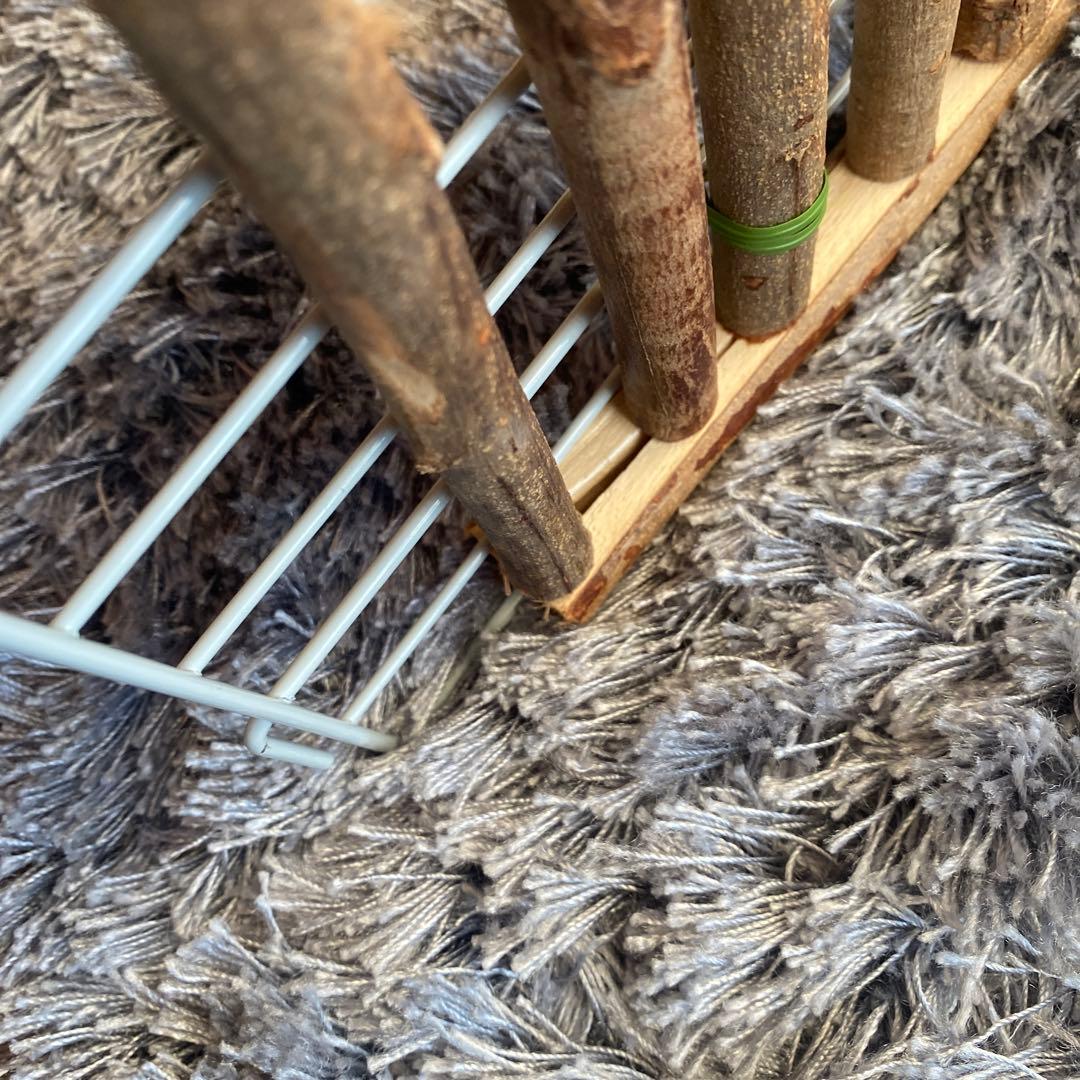 サンコー　うさぎケージ 80 キャスター付き　ホワイトケージ　かじり棒付き