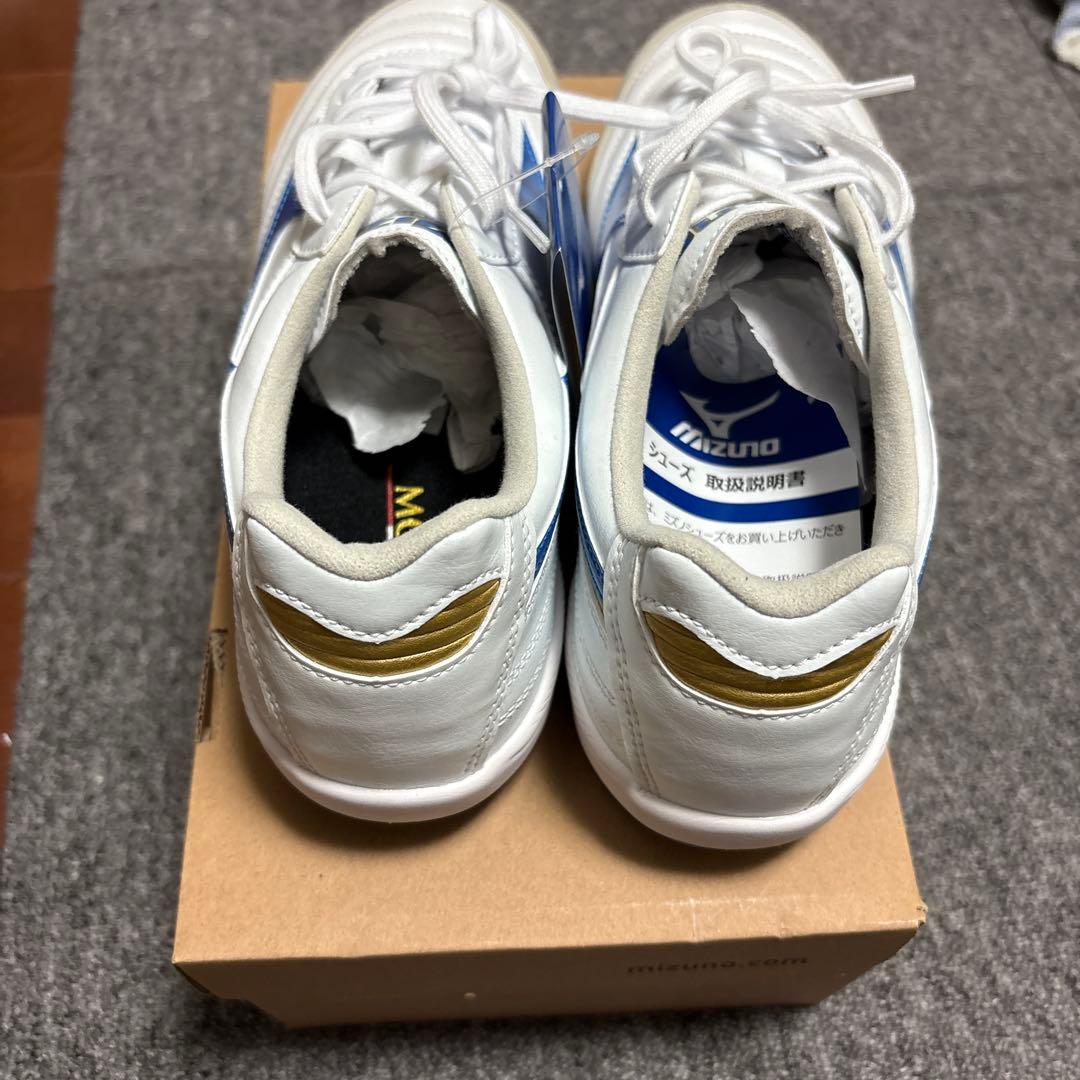 モレリア　サラ　エリート　tf