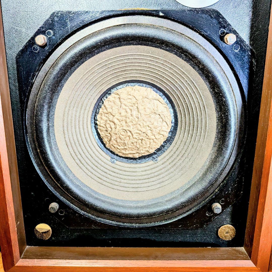 ヴィンテージDIATONE　DS-301 ツインスピーカー