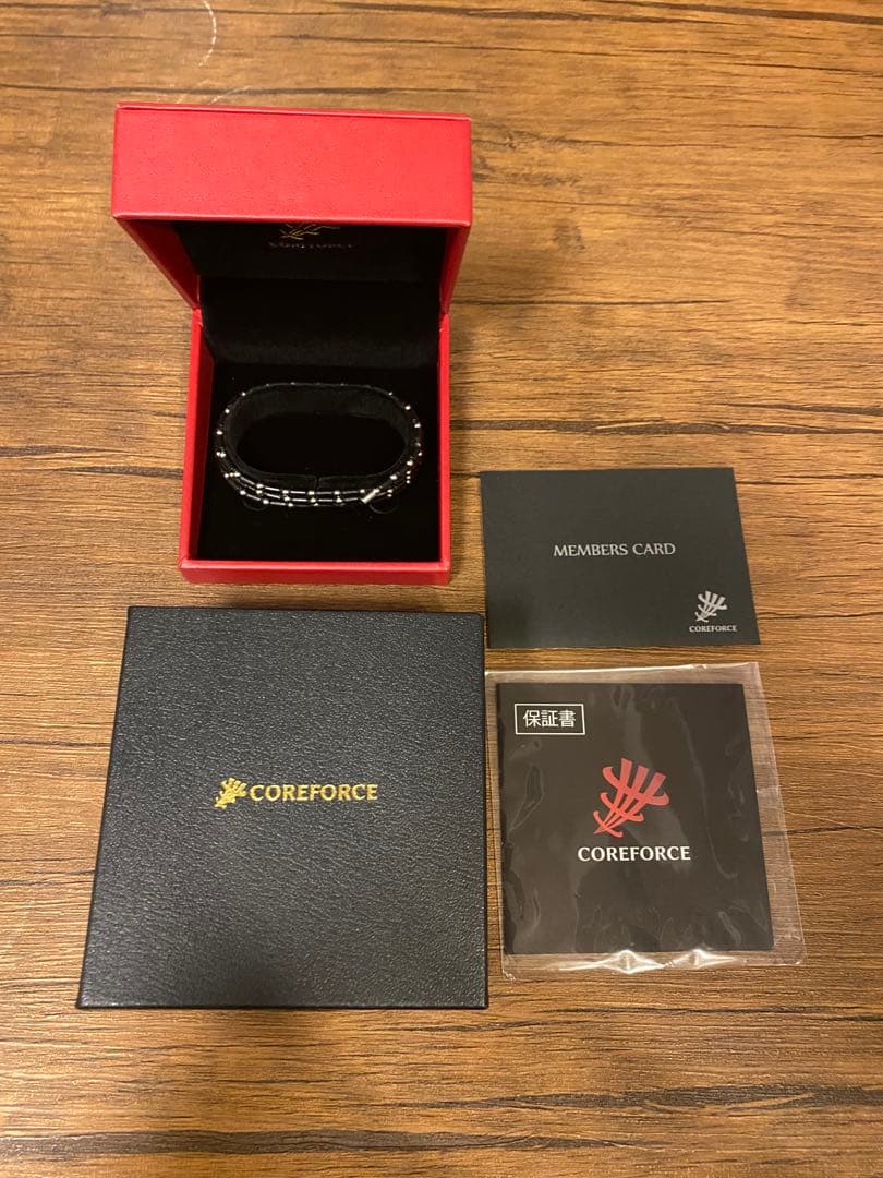 COREFORCE 70cmネックレス