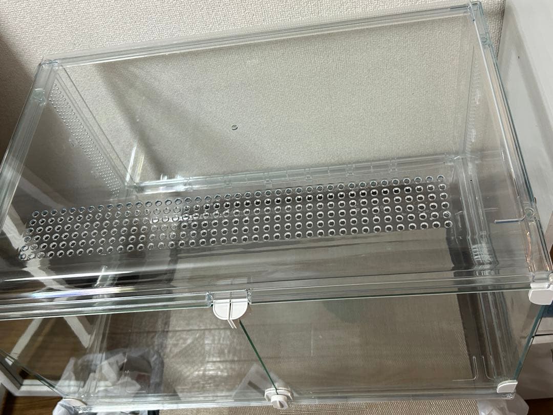 グラスハーモニー600Ｎ