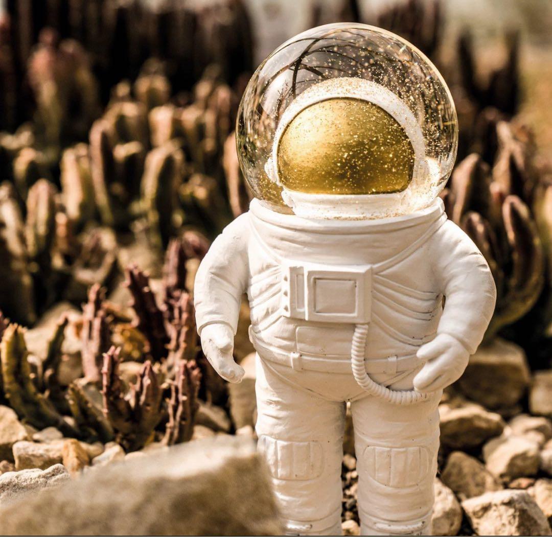 donkey products社 宇宙飛行士