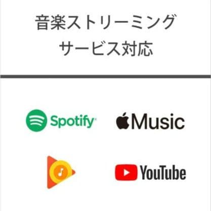 【美品】SONY ウォークマン ハイレゾ対応 MP3プレーヤー NW-A106