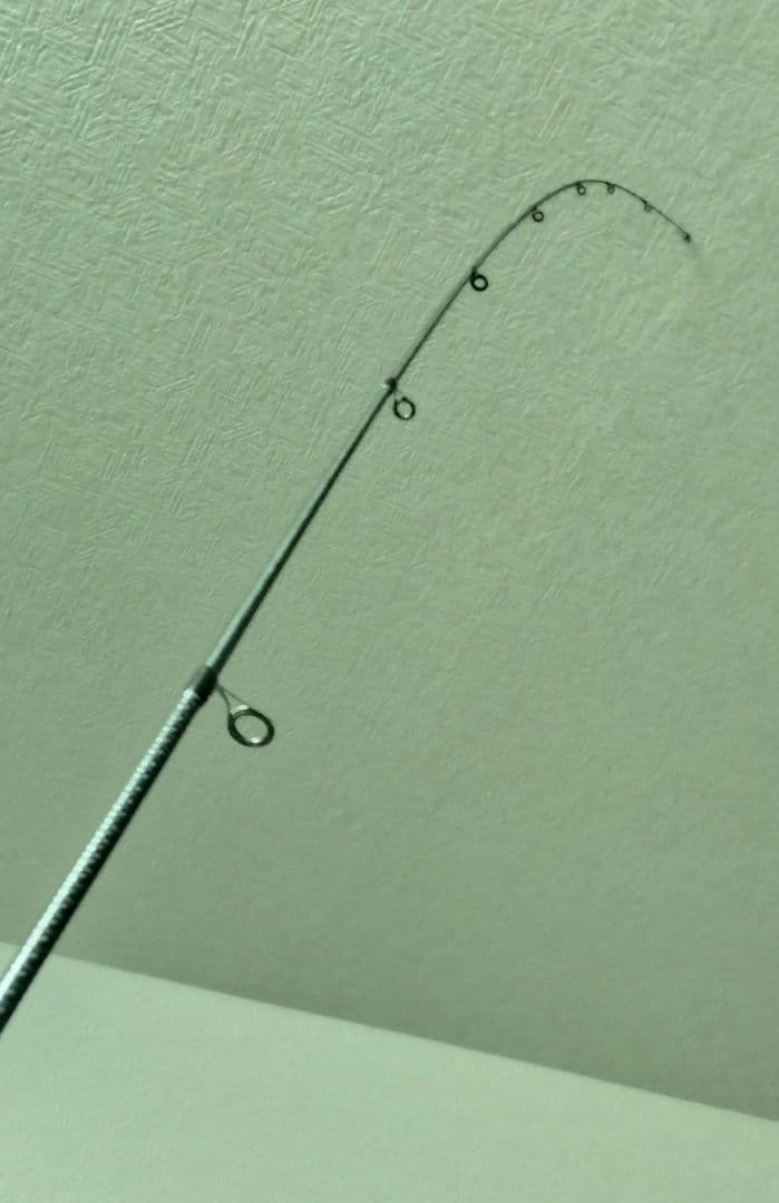 BLX SG 6101L+FS ソリッドティップ仕様