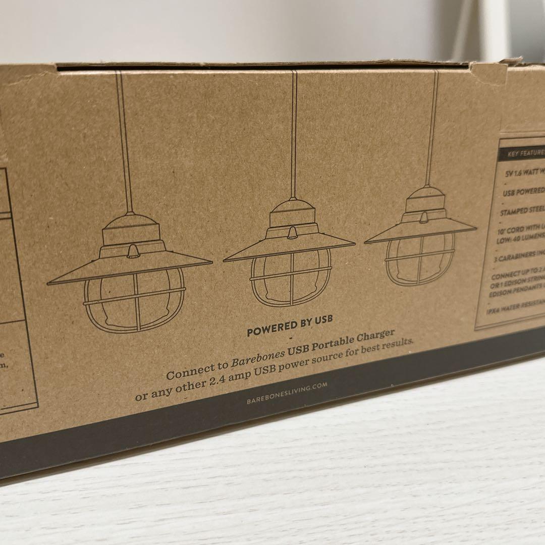 ベアボーンズリビング エジソンスリングライトLED ブラック