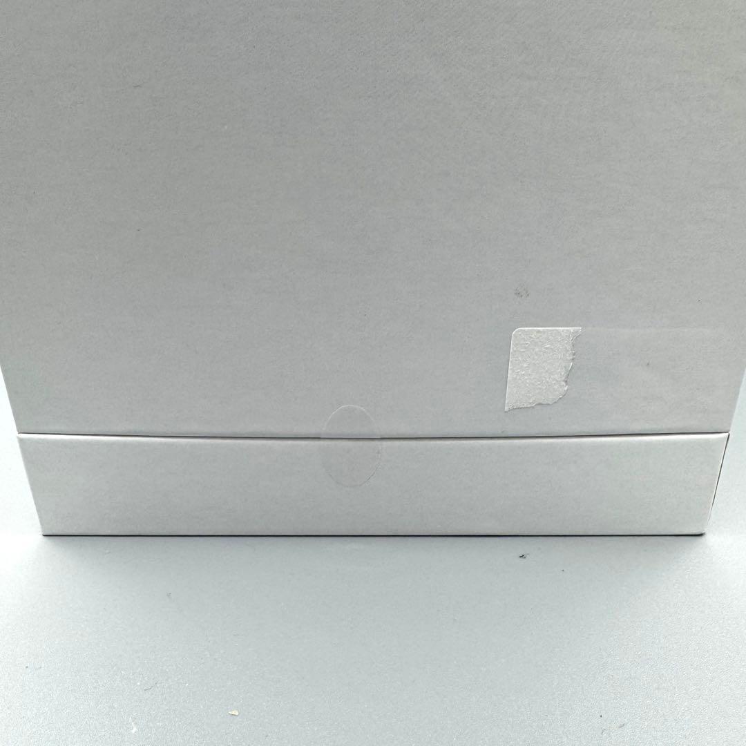 新品! SALONIA サロニア ピュアブライトスチーマーSAL22207SL