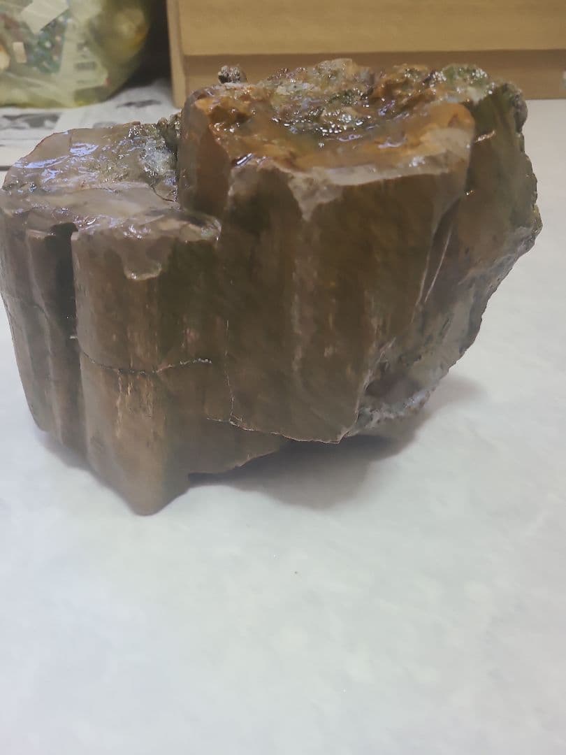 珪化木(3.8キロ)