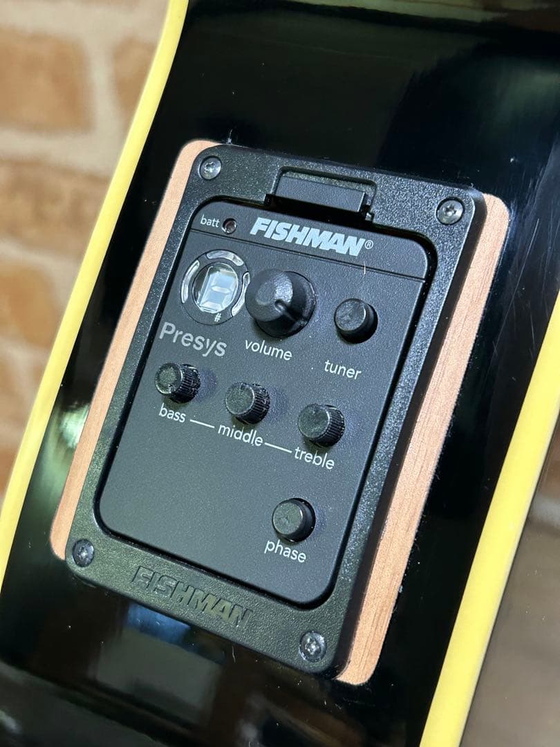 タカミネ エレクトリックアコースティックギター