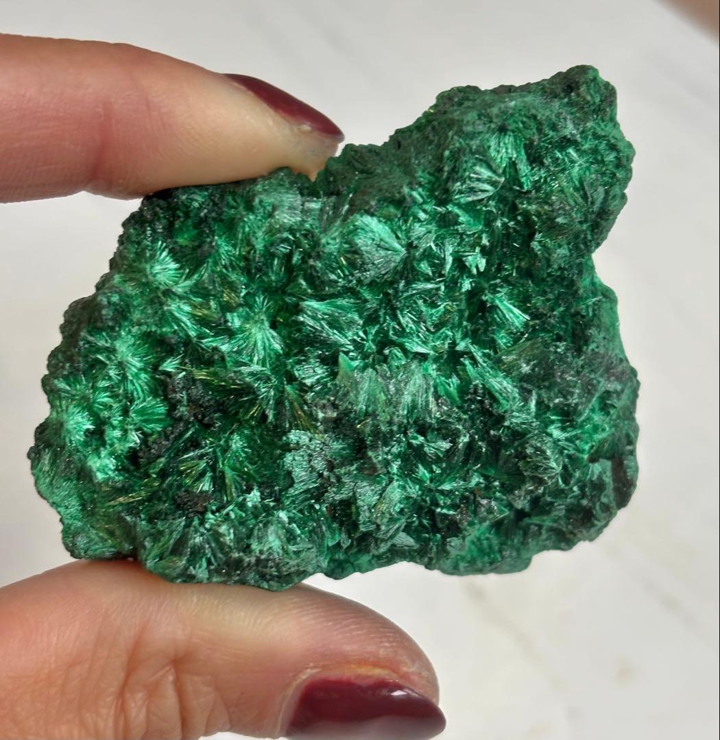 《放射状フラワー結晶が広がる》 マラカイト原石 天然・未研磨 鉱物標本