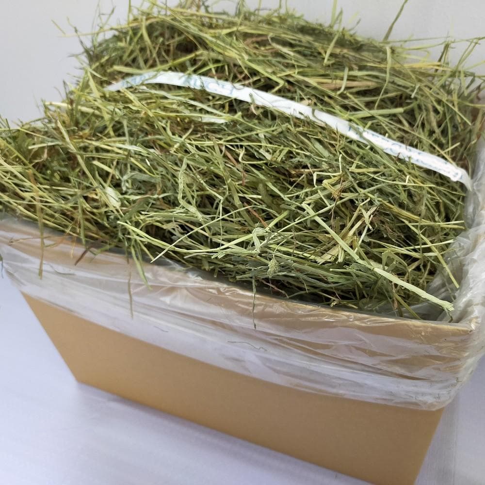 【お得な業販価格】US産 チモシー 2番刈り 300kg ソフトSプレミアム