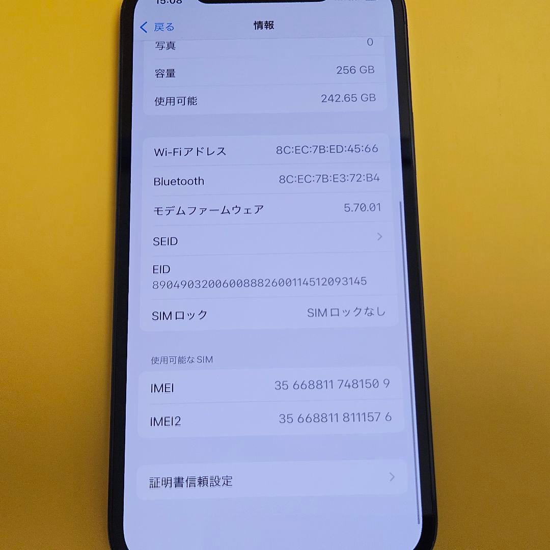 iPhone 12 Pro 256GB｜24時間以内発送!#509