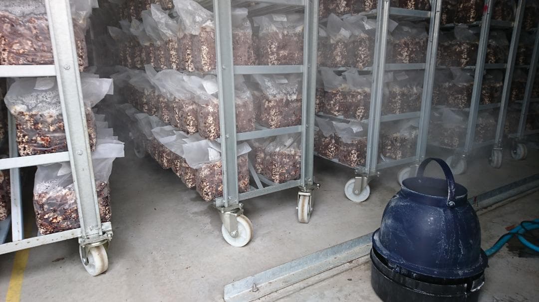 遠心式加湿器MT5500型　3,500cc/時の豊富な噴霧量