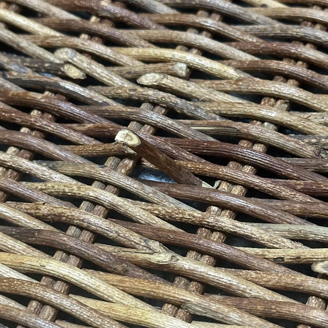 あけび かご カゴアミドリ 特大 トレー 希少