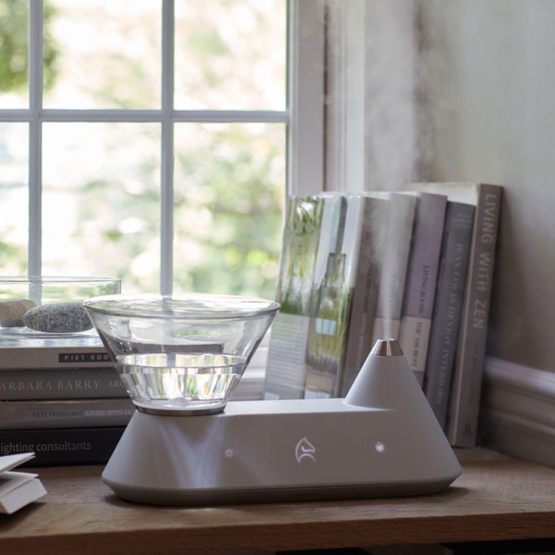 今季完売★最新スマホ加湿器ご褒美家電エペイオスFoElemスマート加湿器Heal