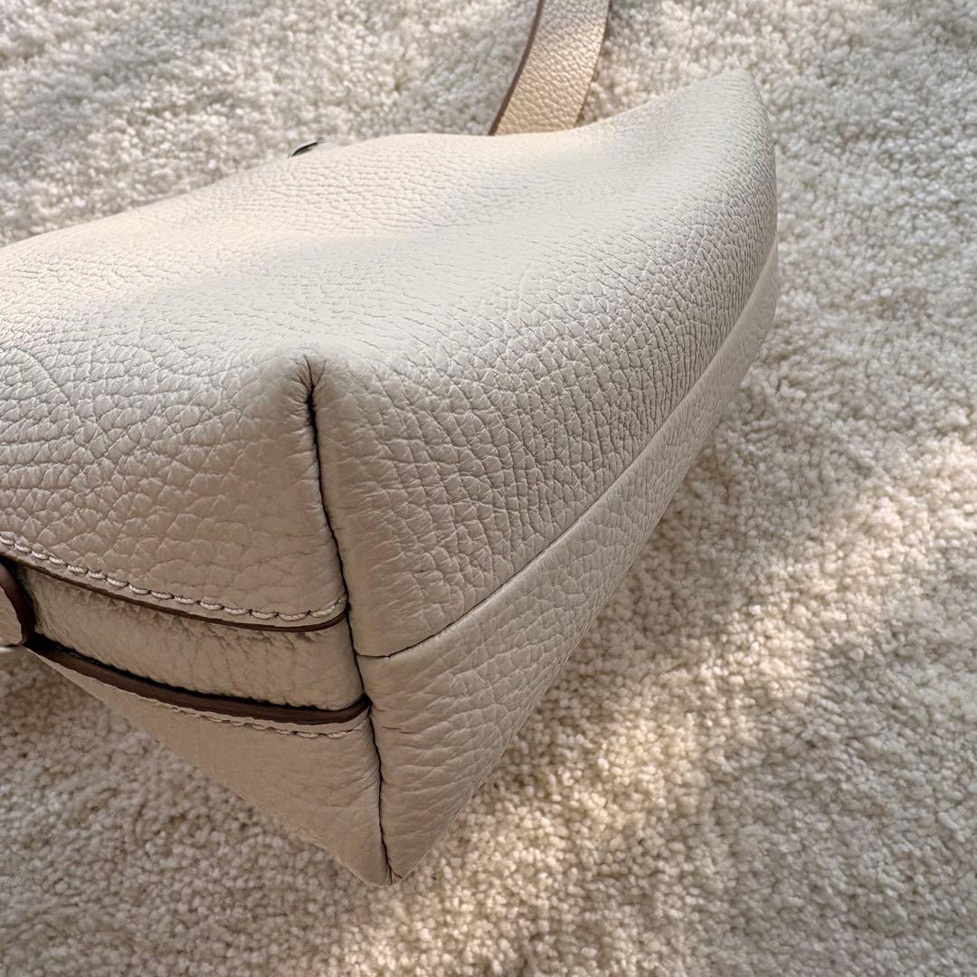 【美品】GIANNICHIARINI ショルダーバッグ アリファ S マーブル