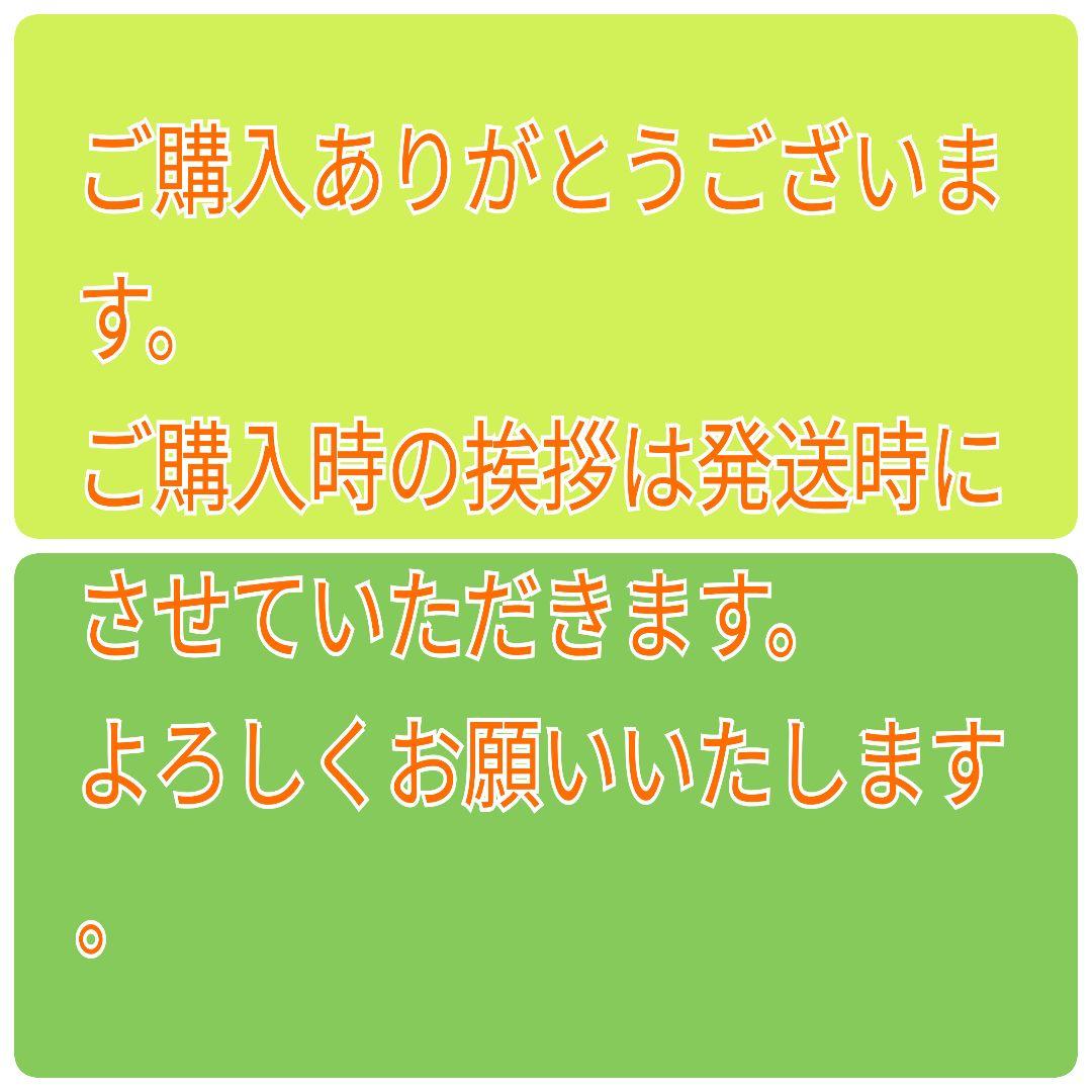 12 noriko多肉植物販売会