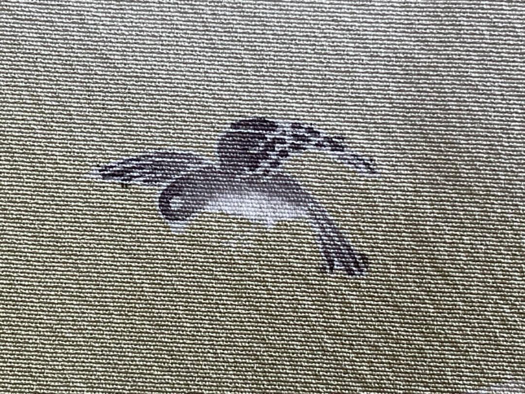 び*ご様 ■E3935■未使用品■正絹縮緬■落款　蜻蛉と雀柄　袷　訪問着■丈16